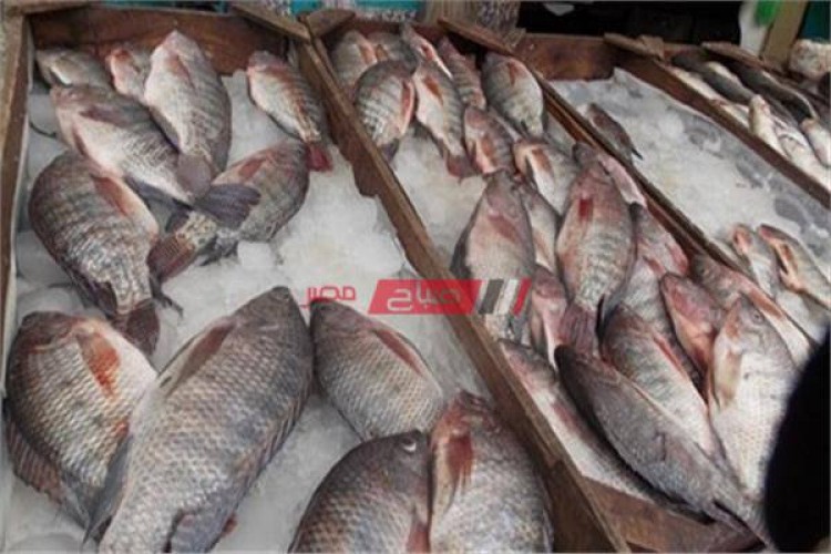 أسعار السمك اليوم السبت 10-7-2021 في أسواق مصر