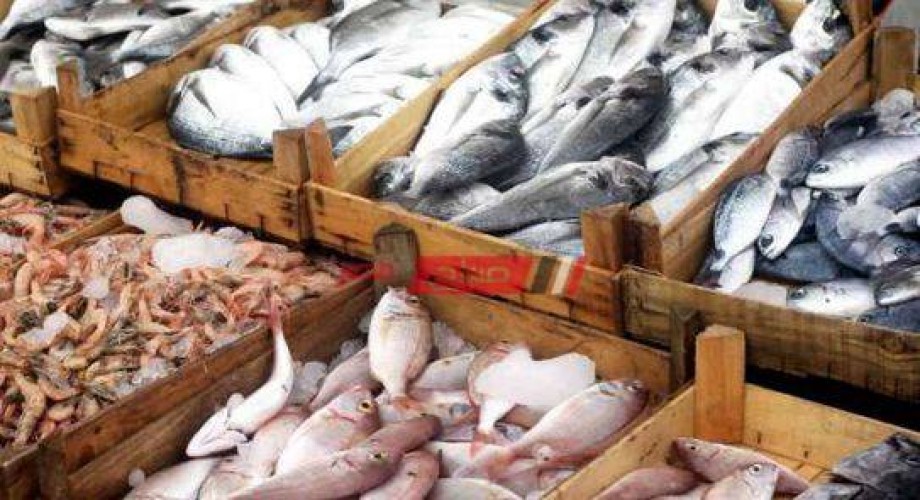 أسعار الأسماك اليوم الإثنين 26-4-2021 في مصر