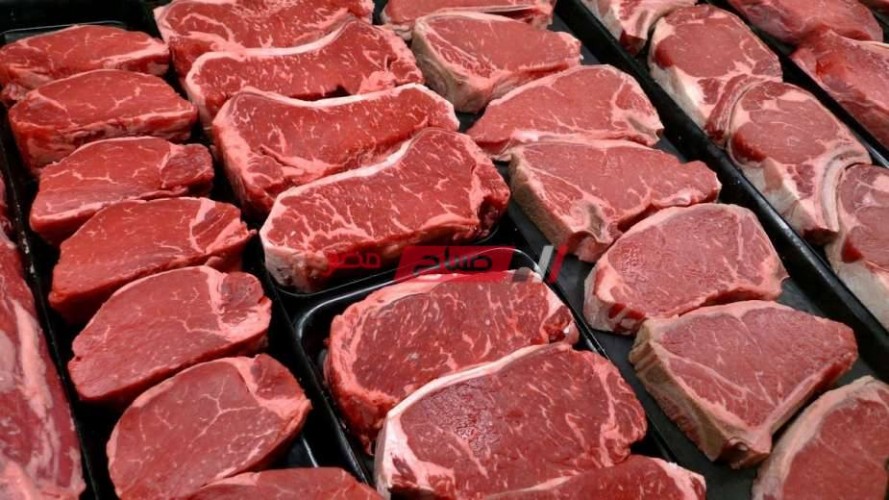 استقرار أسعار اللحوم والاسماك اليوم الجمعة 14-7-2023 في الاسواق المصرية