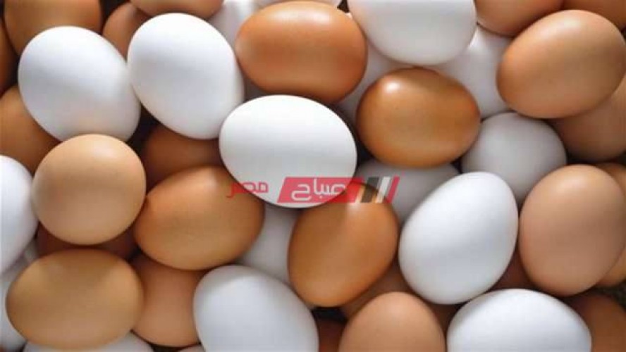 متوسط أسعار البيض من المزرعة والى المستهلك اليوم الأربعاء 12-1-2022