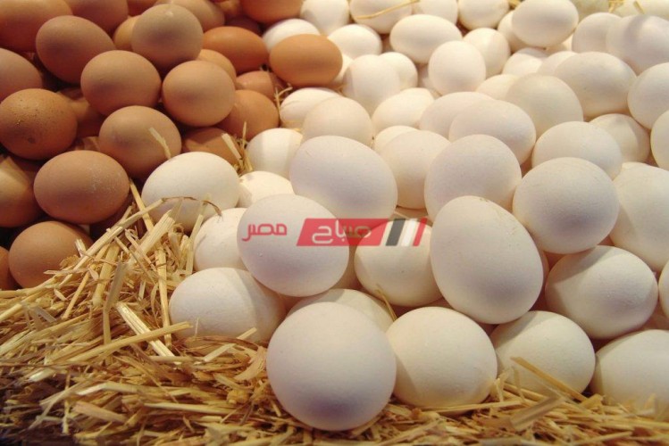 أسعار البيض بكل أنواعه في مصر اليوم الثلاثاء 14-12-2021