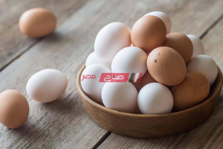 أسعار البيض المحدثة لكل الانواع في مصر اليوم السبت 4-12-2021
