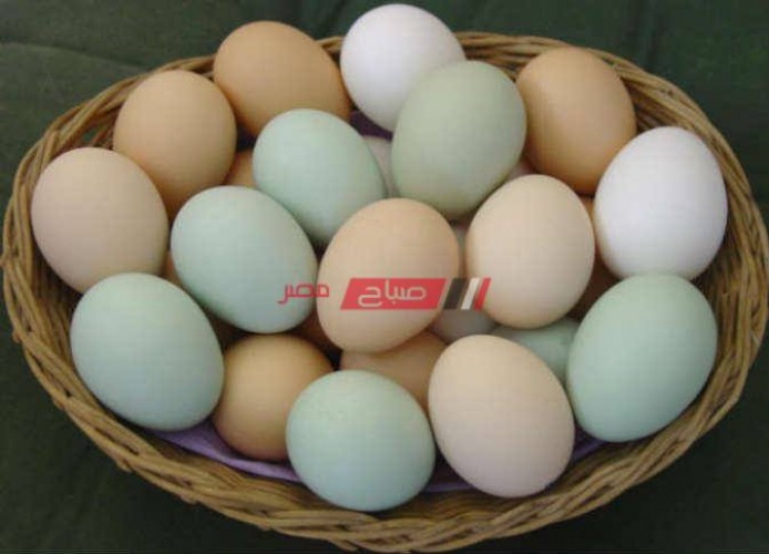 أسعار البيض اليوم الأحد 6-6-2021 بالسوق المحلي