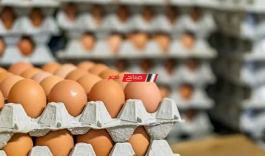 متوسط أسعار البيض اليوم الجمعة 18-2-2022 في السوق