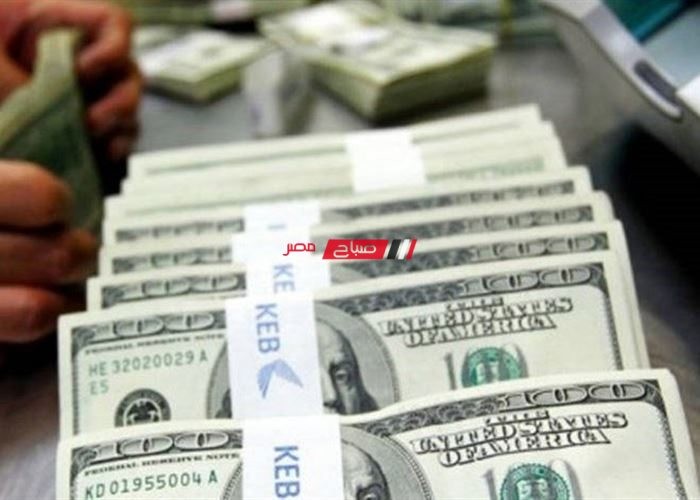 ارتفاع سعر الدولار اليوم في البنك الأهلي المصري مقابل الجنيه المصري