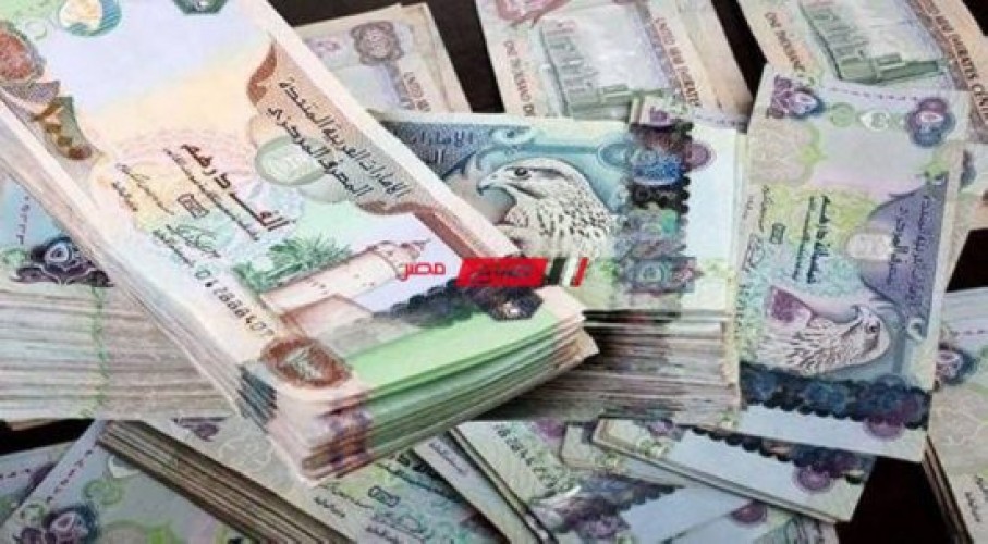 احدث سعر بيع وشراء الدرهم الإماراتي في مصر اليوم الأحد 22-5-2022