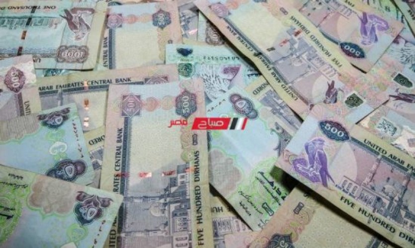 ننشر تفاصيل أسعار الدرهم الإماراتي اليوم السبت 14-1-2023 مقابل الجنيه المصري