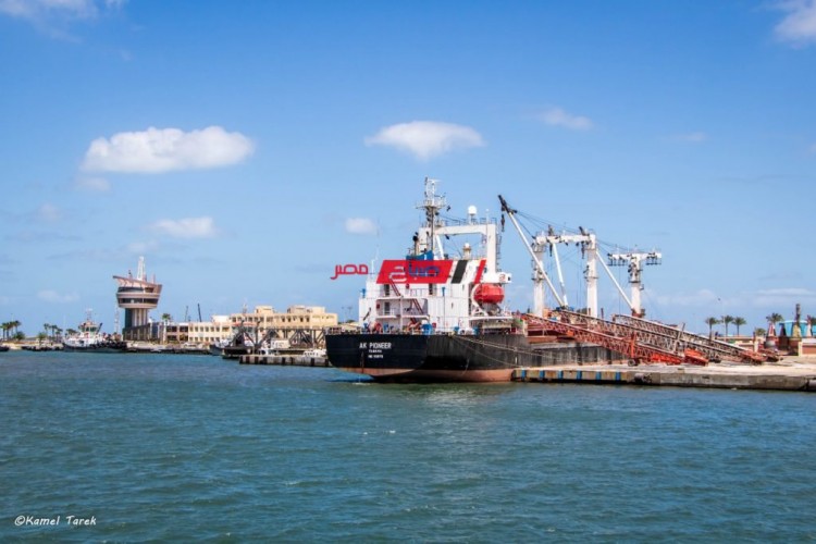 تفريغ شحنة جديدة على ارصفة ميناء دمياط تتضمن 49 الف طن ذرة وقمح
