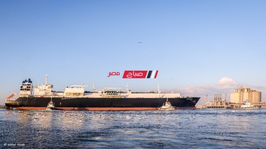 تفريغ شحنة اخشاب جديدة على ارصفة ميناء دمياط باجمالي1911 طن ابلاكاش و 858 طن زان