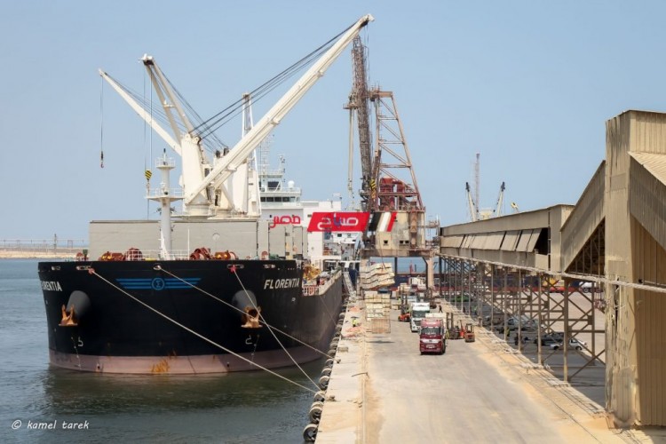 ارتفاع رصيد القمح بالقطاع العام في ميناء دمياط الى 16 الف طن