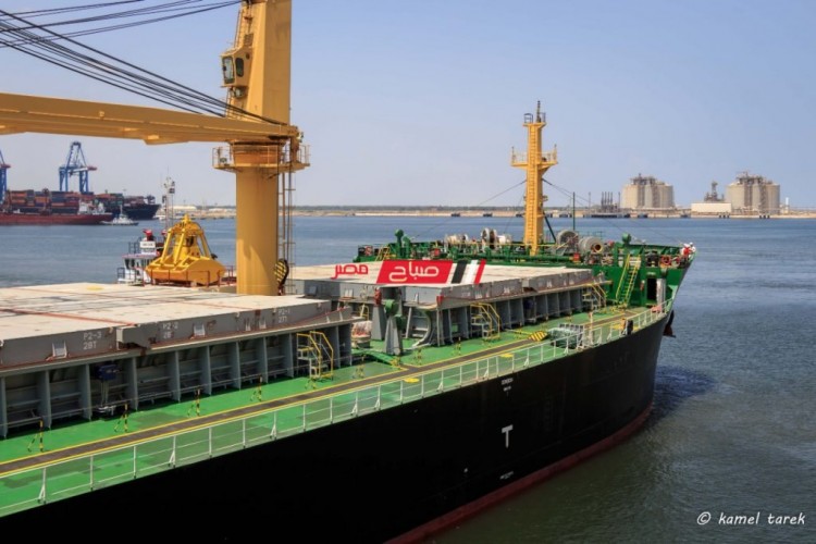 وصول 7585 طن قمح من اوكرانيا الى ميناء دمياط لصالح القطاع الخاص