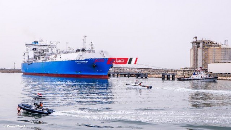 ميناء دمياط يعلن تفريغ شحنة جديدة تتضمن 3002 طن ابلاكاش و 941 طن خشب زان