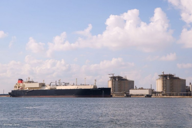 ميناء دمياط يستقبل 3576 طن خردة و 1687 طن خشب زان