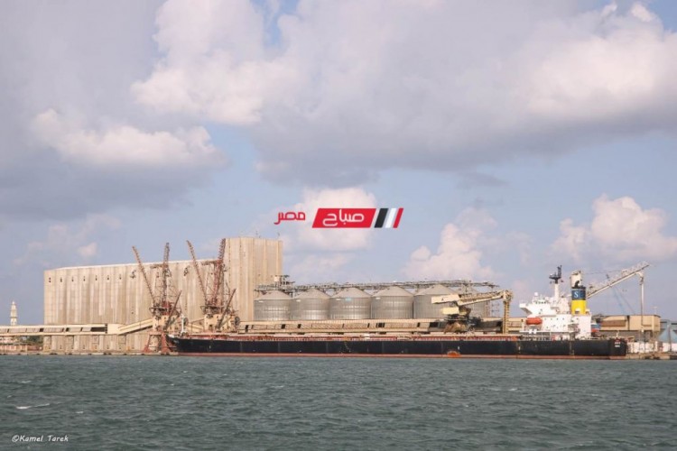 هيئة ميناء دمياط تستقبل 66 الف طن من القمح الروسي عبر السفينة ANNA-S