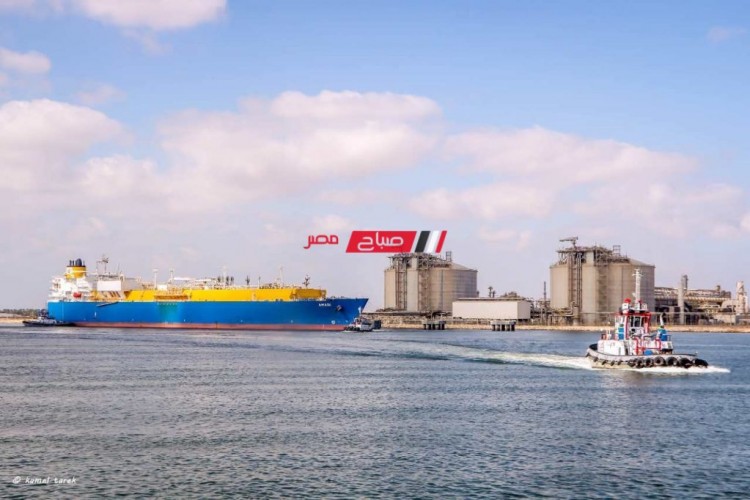 ميناء دمياط: تصدير 63 الف طن غاز مسال عبر الناقلة MARAN GAS EFESSOS