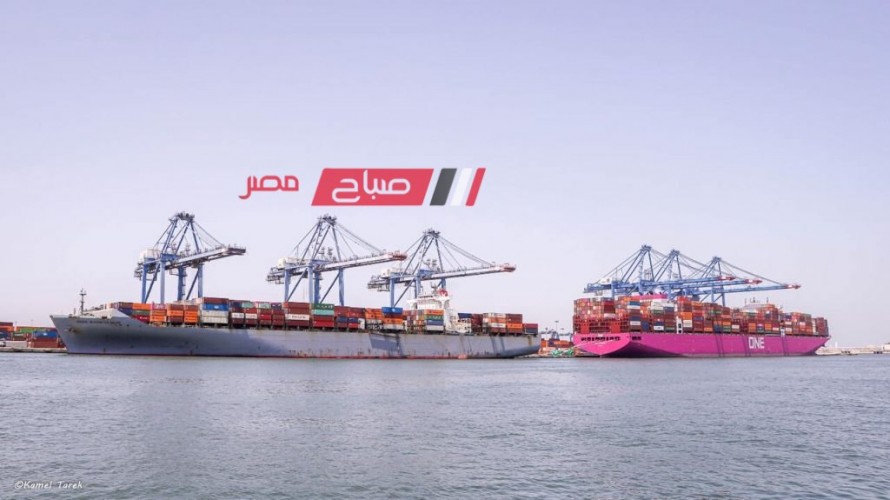 ميناء دمياط: تصدير 49 الف طن غاز مسال عبر الناقلة NEO ENERGY