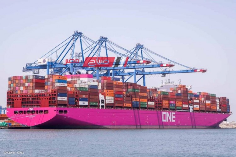 ميناء دمياط تعلن تصدير 980 طن أسمنت و 4204 طن جبس معبأ خلال 24 ساعة