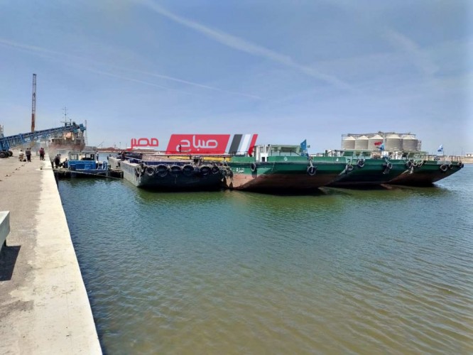 ميناء دمياط يستقبل 5 وحدات نهرية لشحن وتفريغ بضائع متنوعة