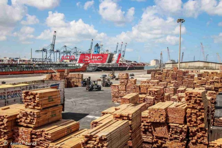 تفريغ 1738 طن خشب زان و 490 طن ابلاكاش على ارصفة ميناء دمياط