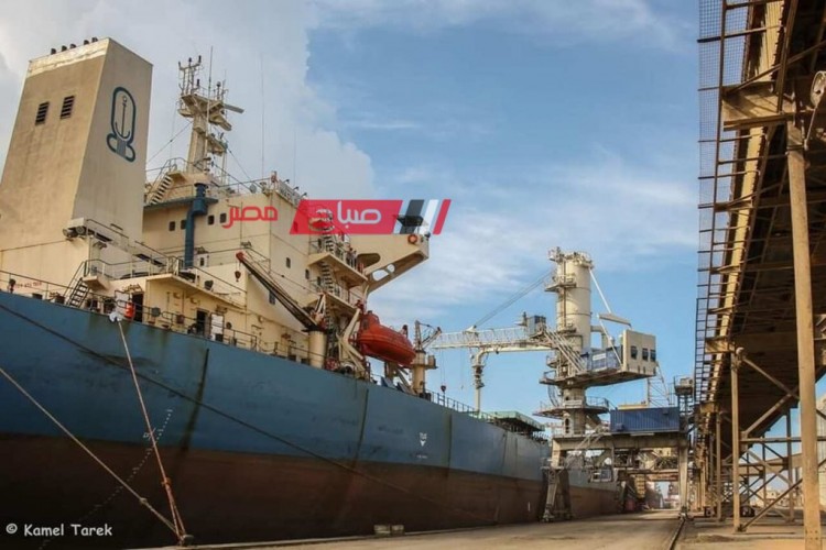 تداول 30 سفينة بضائع متنوعة عبر ميناء دمياط وتصدير 3300 طن رمل