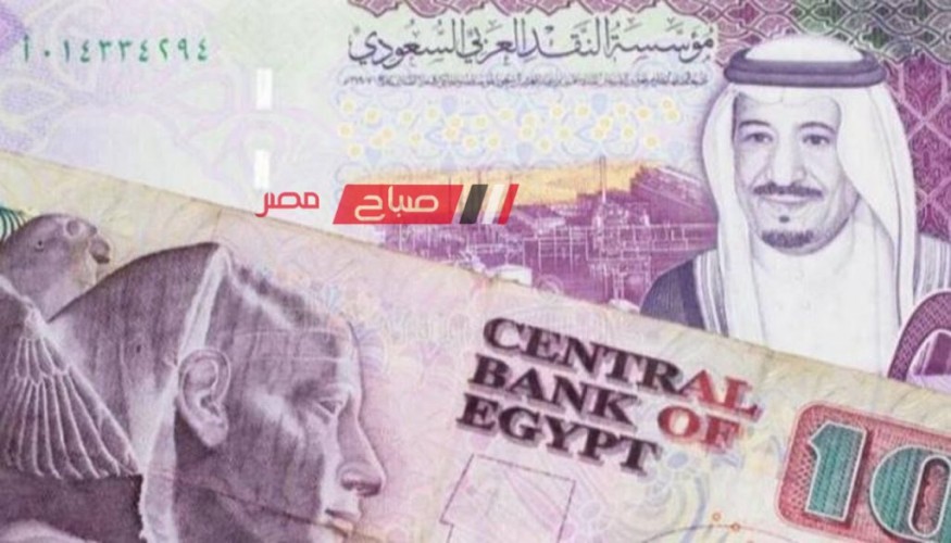 استقرار أسعار الريال السعودي عند 8.21 جنيه للشراء اليوم الاحد 3-12-2023 .. تعرف على احدثها