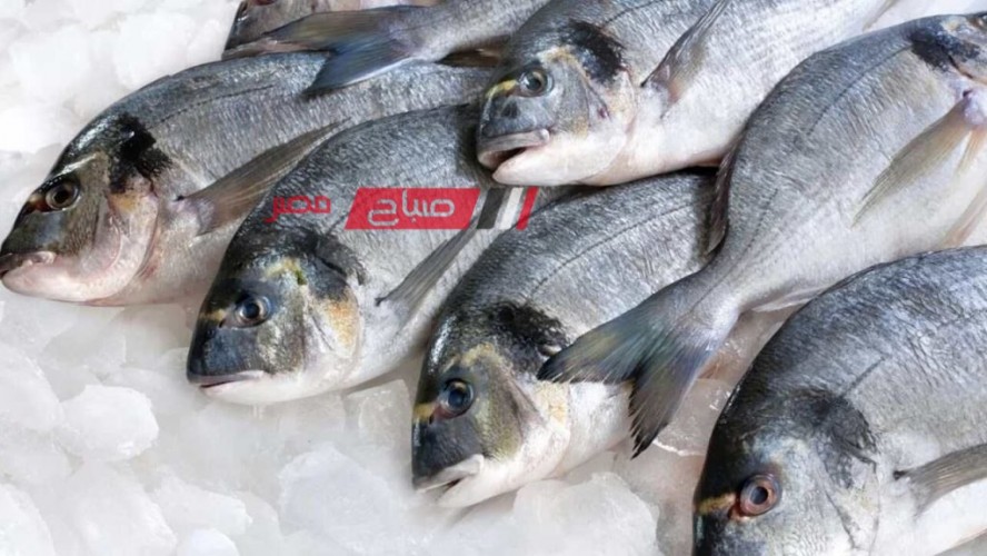 تعرف على احدث أسعار اللحوم والأسماك في السوق المحلي اليوم الخميس 23-11-2023