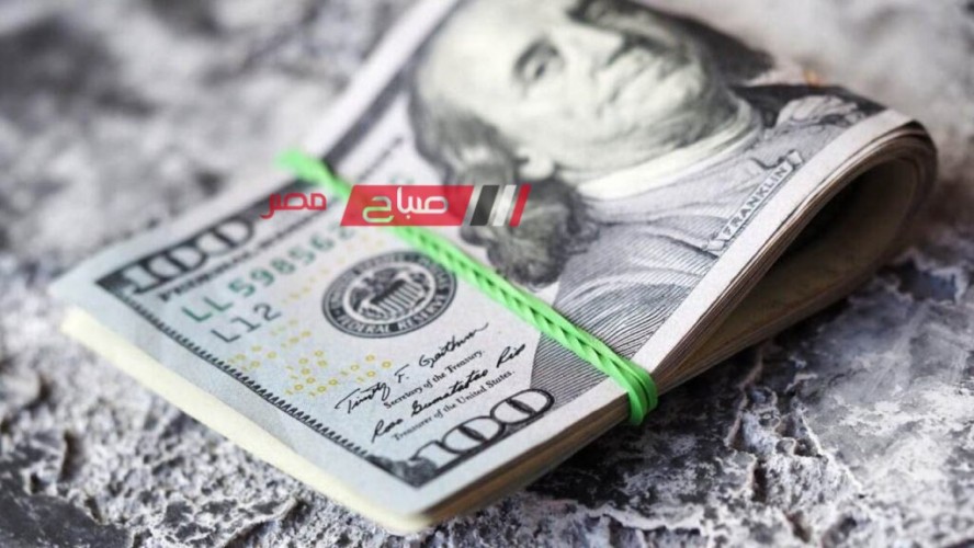 ثبات أسعار الدولار اليوم الاربعاء 22-11-2023 في السودان