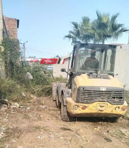حملات مكبرة إزالة نباتات الهيش والبوص من شوارع قرى دمياط