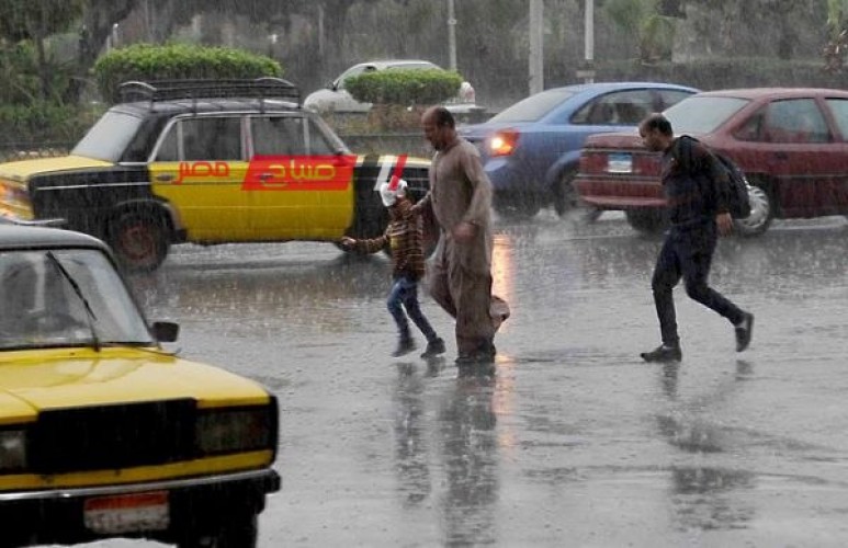 نوة المكنسة 2023 تضرب الاسكندرية بأمطار غزيرة ورياح نشطة