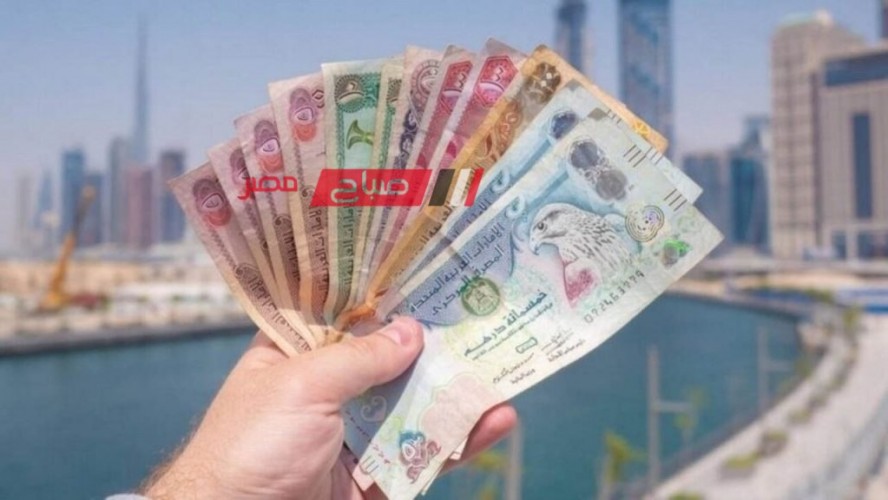 استقرار أسعار الدرهم الإماراتي اليوم الثلاثاء 2-1-2024 مقابل الجنيه المصري