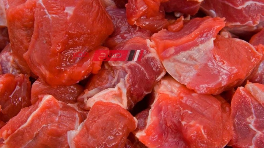 تعرف على متوسط أسعار اللحوم والأسماك اليوم الاحد 10-12-2023 في السوق المصري
