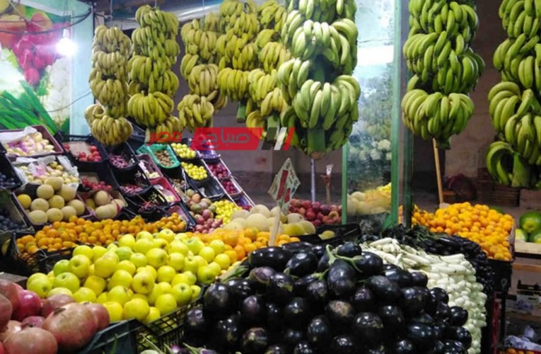 استقرار أسعار الفاكهة اليوم الثلاثاء 23-1-2024 … تعرف على احدثها بجميع الانواع بالاسواق