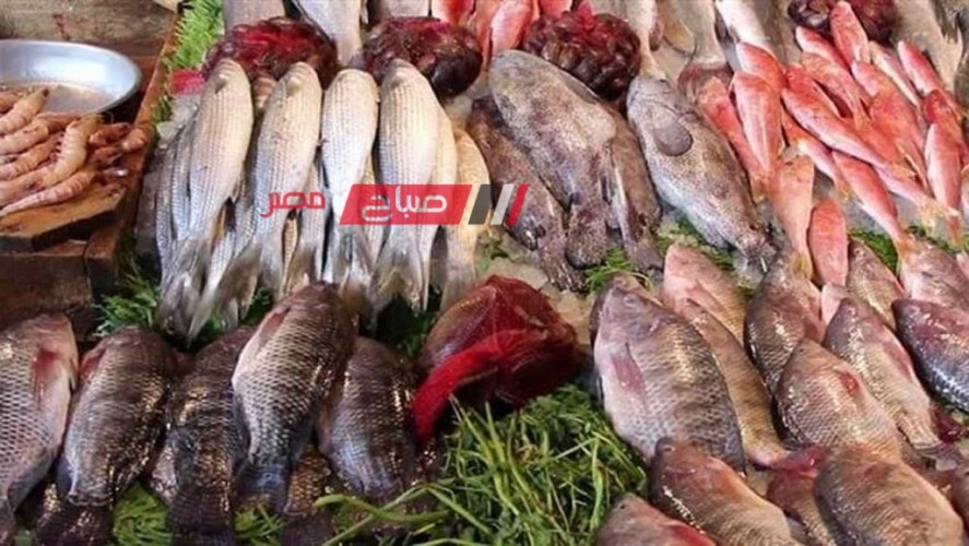 تعرف على متوسط أسعار اللحوم والأسماك اليوم الجمعة 26-1-2024 بالاسواق المصرية … استقرار كبير