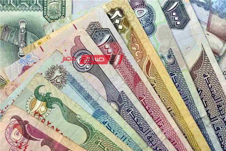 استقرار أسعار الدرهم الإماراتي اليوم الاحد 25-2-2024 بالتعاملات من خلال البنوك