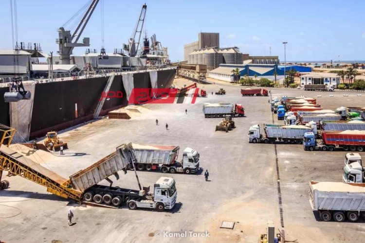 هيئة ميناء دمياط تستقبل 47 الف طن قمح روسي خلال 24 ساعة