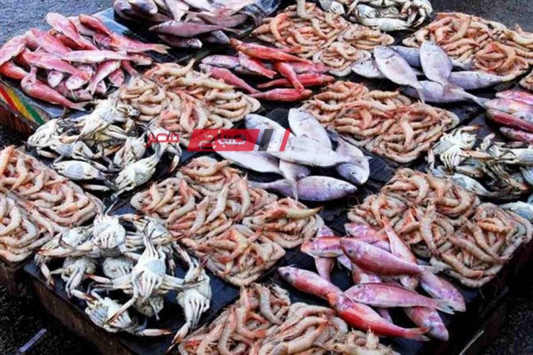 استقرار أسعار اللحوم والأسماك اليوم الثلاثاء 5-3-2024 بالاسواق المصرية .. تعرف عليها