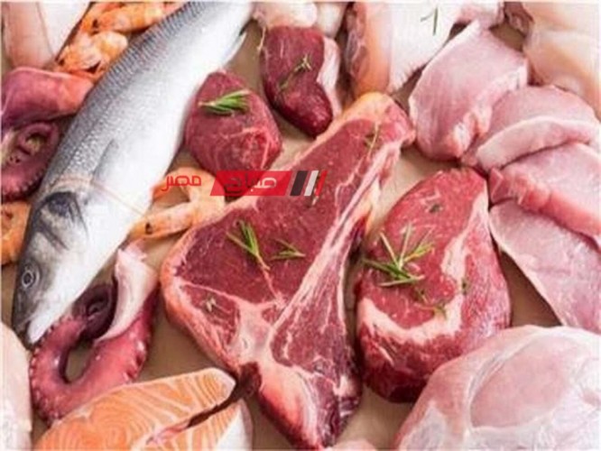 ننشر تفاصيل أسعار اللحوم والأسماك بالاسواق المصرية اليوم الخميس 14-3-2024