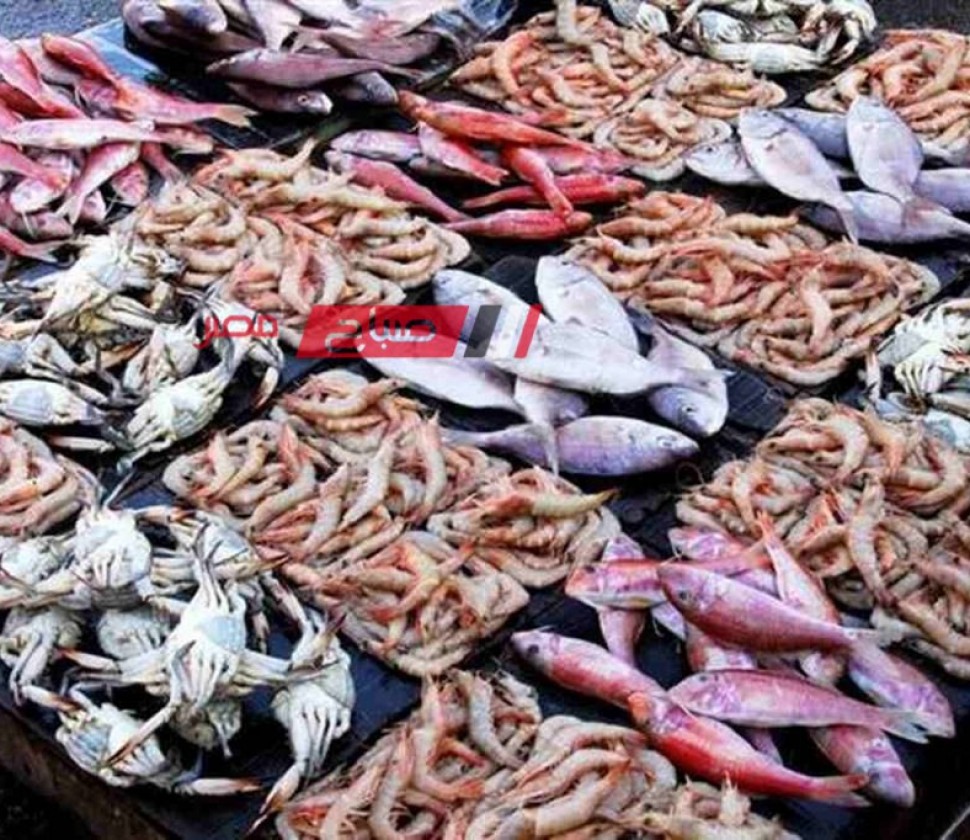 ننشر اخر أسعار الأسماك واللحوم اليوم الاحد 2-6-2024 لجميع الانواع في مصر