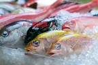 استقرار أسعار الأسماك واللحوم اليوم الاحد 26-5-2024 بالاسواق المصرية