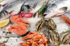 ننشر احدث أسعار الأسماك واللحوم اليوم الجمعة 17-5-2024 بالاسواق المصرية
