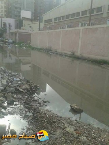بالصور غرق شوارع حجر النواتيه بمياه الصرف بالاسكندرية