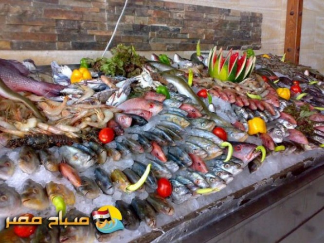 اسعار الأسماك اليوم الخميس 9-11-2017 بمحافظة الاسكندرية