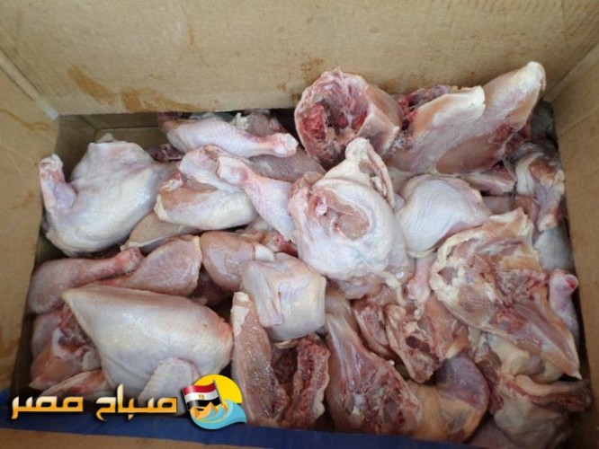 ضبط أجزاء دجاج مجهولة المصدر وغير صالحة للاستهلاك في الإسكندرية