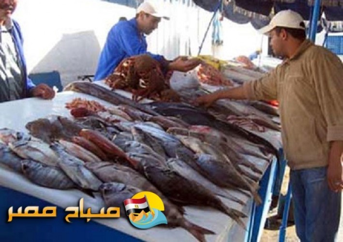 أسعار الأسماك اليوم الجمعة 3-11-2017 بالإسكندرية