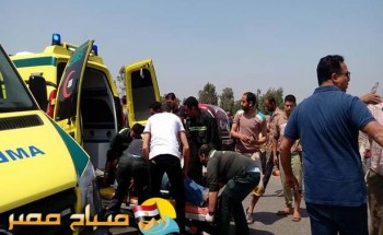 انقلاب سيارة ربع نقل على طريق الإسماعيلية و إصابة 13 عامل