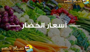 ننشر تفاصيل سعر الخضروات لكل انواعه في مصر اليوم الثلاثاء 18-10-2022