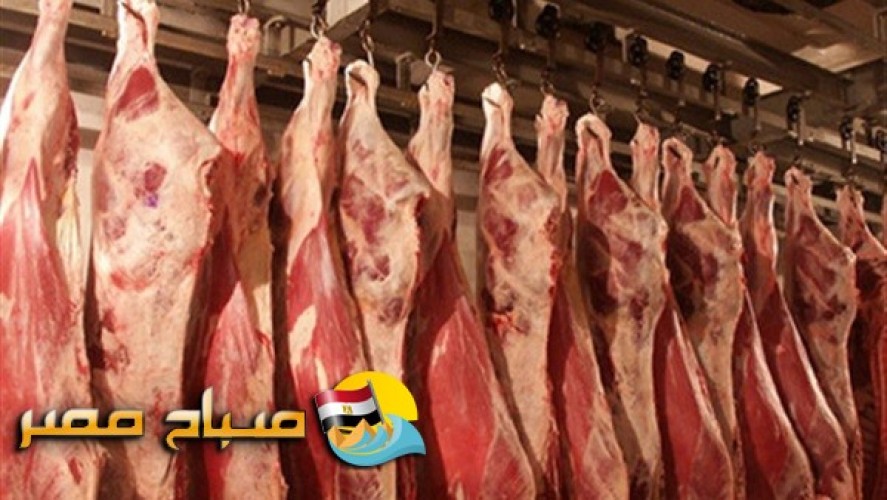 أسعار اللحوم بمجمعات (أليكس ماركت) فى الاسكندرية