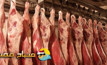 أسعار اللحوم بمجمعات (أليكس ماركت) فى الاسكندرية
