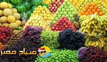 ننشر سعر الفواكه اليوم الخميس 05-09-2019 بالمحافظات