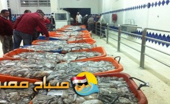 شرطة التموين تضبط  5 أطنان سمك فاسد معد للبيع فى القليوبية